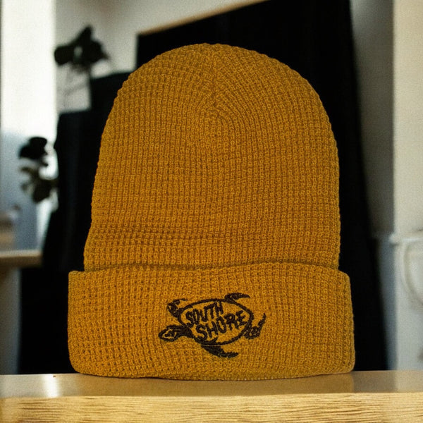 South Shore Cuff Toque with Turtle